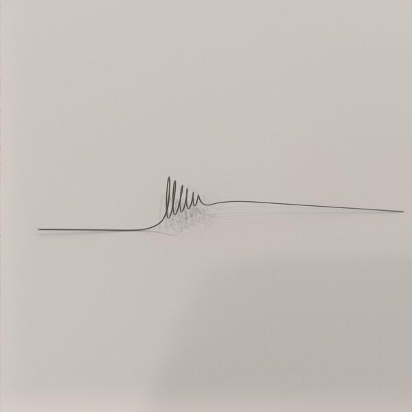 Nickel Titanium Nitinol Urological Occluder