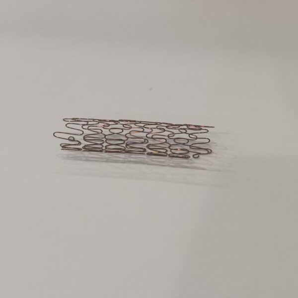 Custom Medical Stents