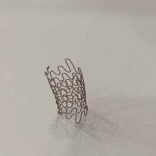 Custom Medical Stents 1
