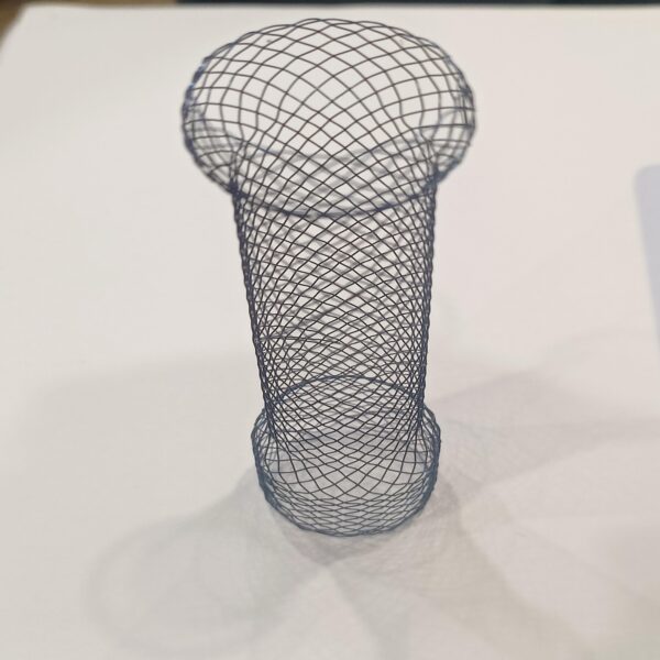 Nitinol Self-Expanding Stent 1